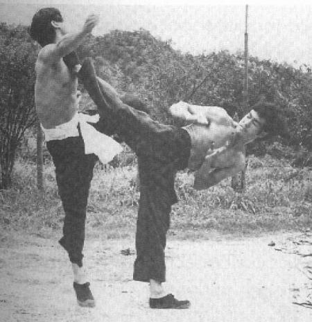 bruceleemaroc